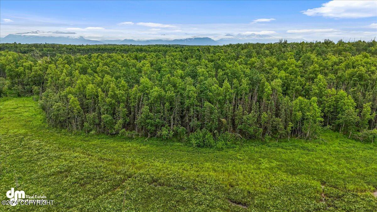 5200 W Parks Highway, Wasilla, Alaska image 17