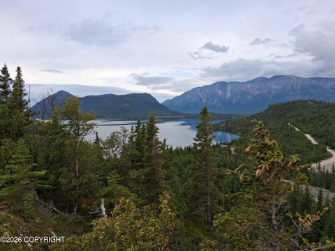 Vacant Land For Sale - L1 Russian Creek<br/> Iliamna, AK 99606