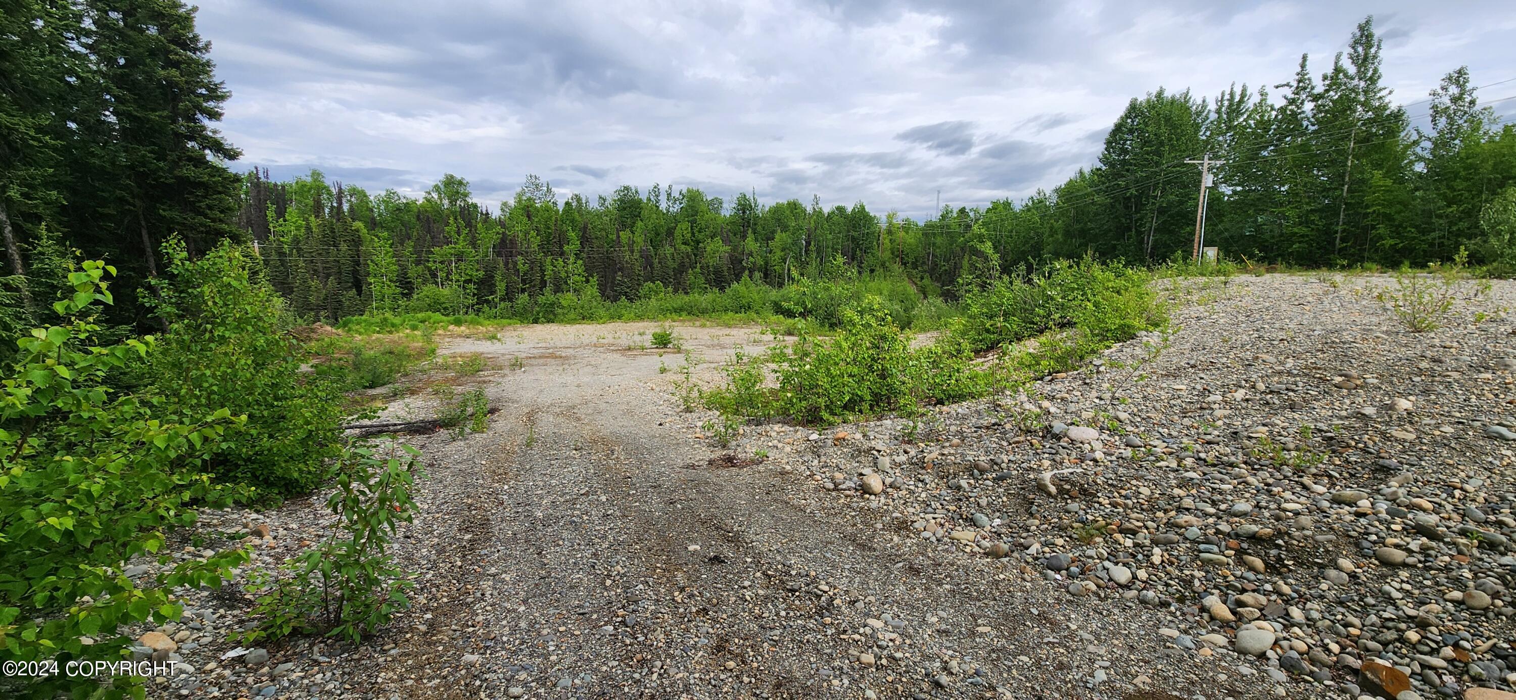 42375 S Parks Highway, Talkeetna, Alaska image 4