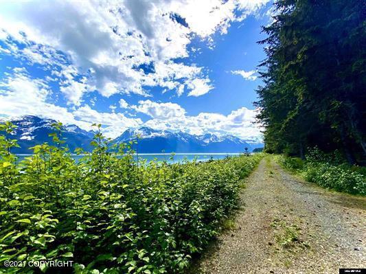 Parcel C 3 Viking Cove Subdivision, Haines, Alaska image 22