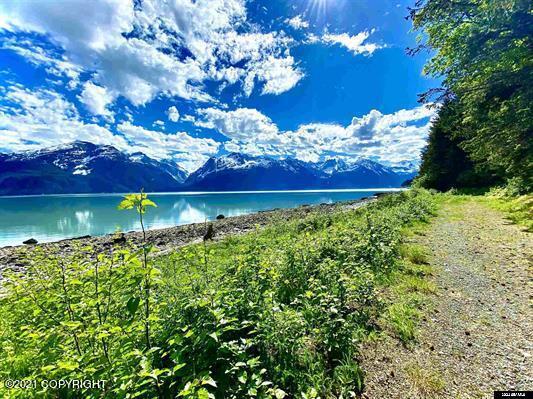 Parcel C 3 Viking Cove Subdivision, Haines, Alaska image 18