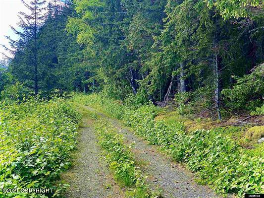 Parcel C 3 Viking Cove Subdivision, Haines, Alaska image 23