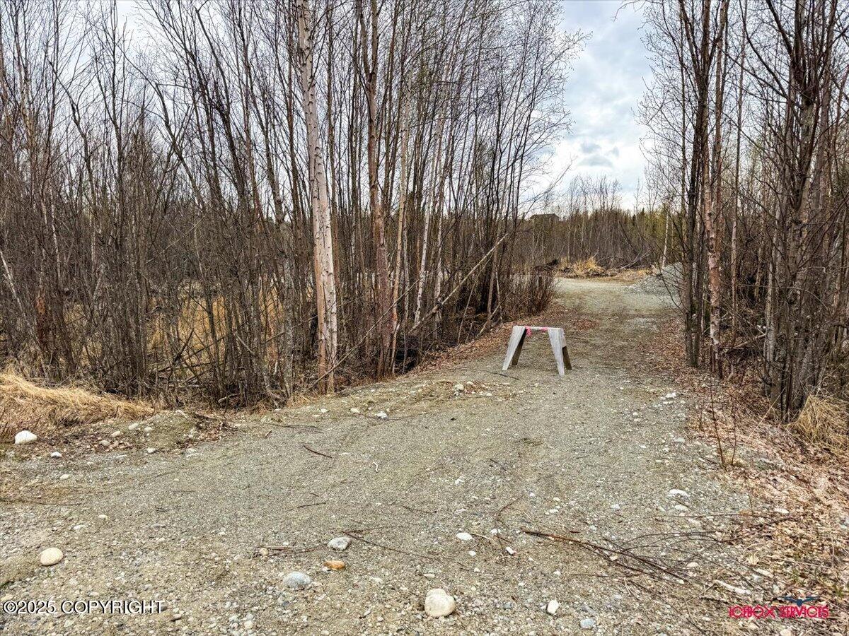 304 Ashley Road, Wasilla, Alaska image 13