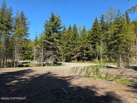 Photo of Lot 31 Martin Avenue, Haines, AK 99827 (MLS # 26-12175)