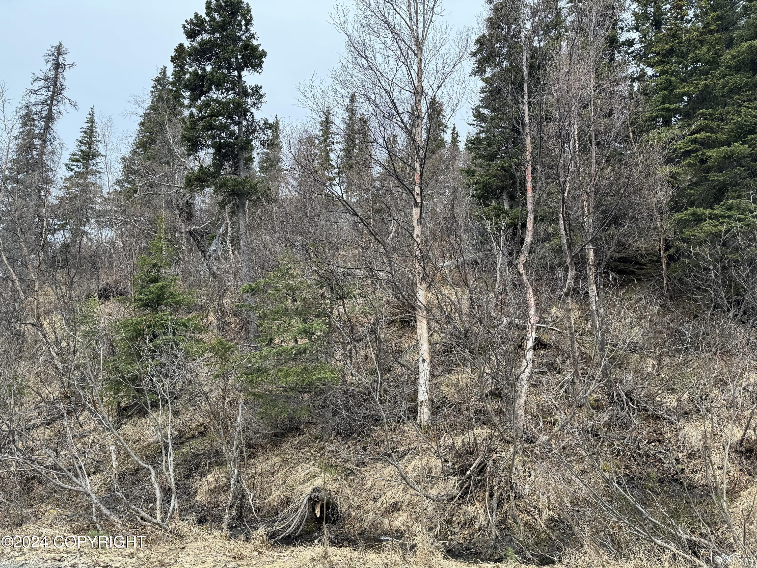 000 Portugal Circle, Anchorage, Alaska image 4
