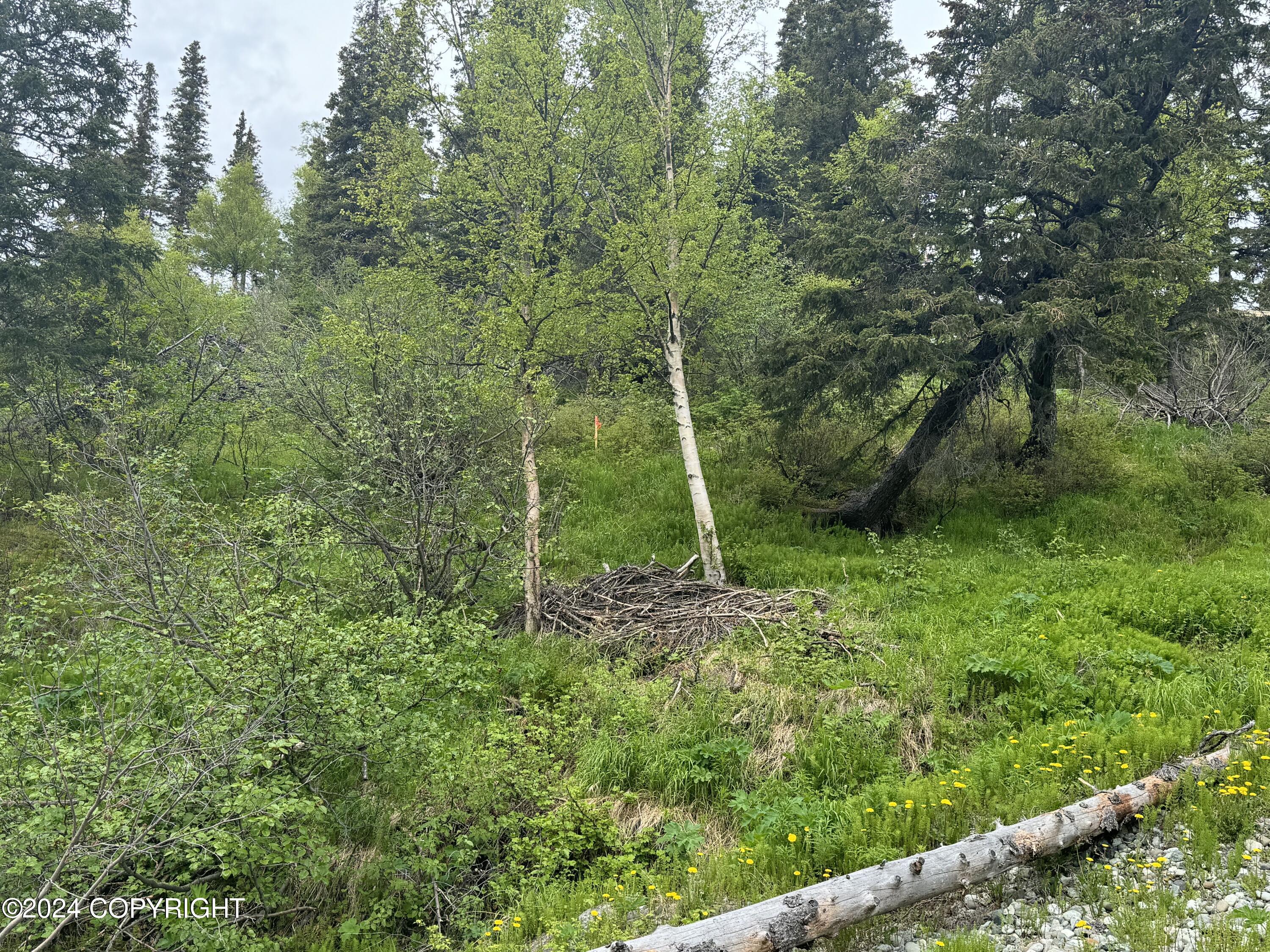 000 Portugal Circle, Anchorage, Alaska image 7