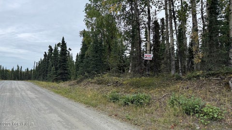 Vacant Land For Sale - L2A Regine Avenue<br/> Soldotna, AK 99669