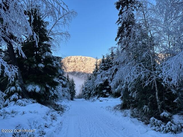 Cooper Landing, Alaska 99572, United States, 6 Bedrooms Bedrooms, ,2 BathroomsBathrooms,Residential,Pending,74083