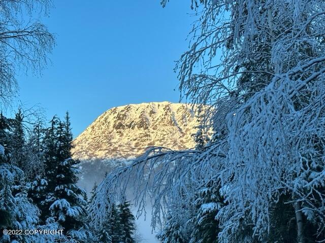 Cooper Landing, Alaska 99572, United States, 6 Bedrooms Bedrooms, ,2 BathroomsBathrooms,Residential,Pending,74083