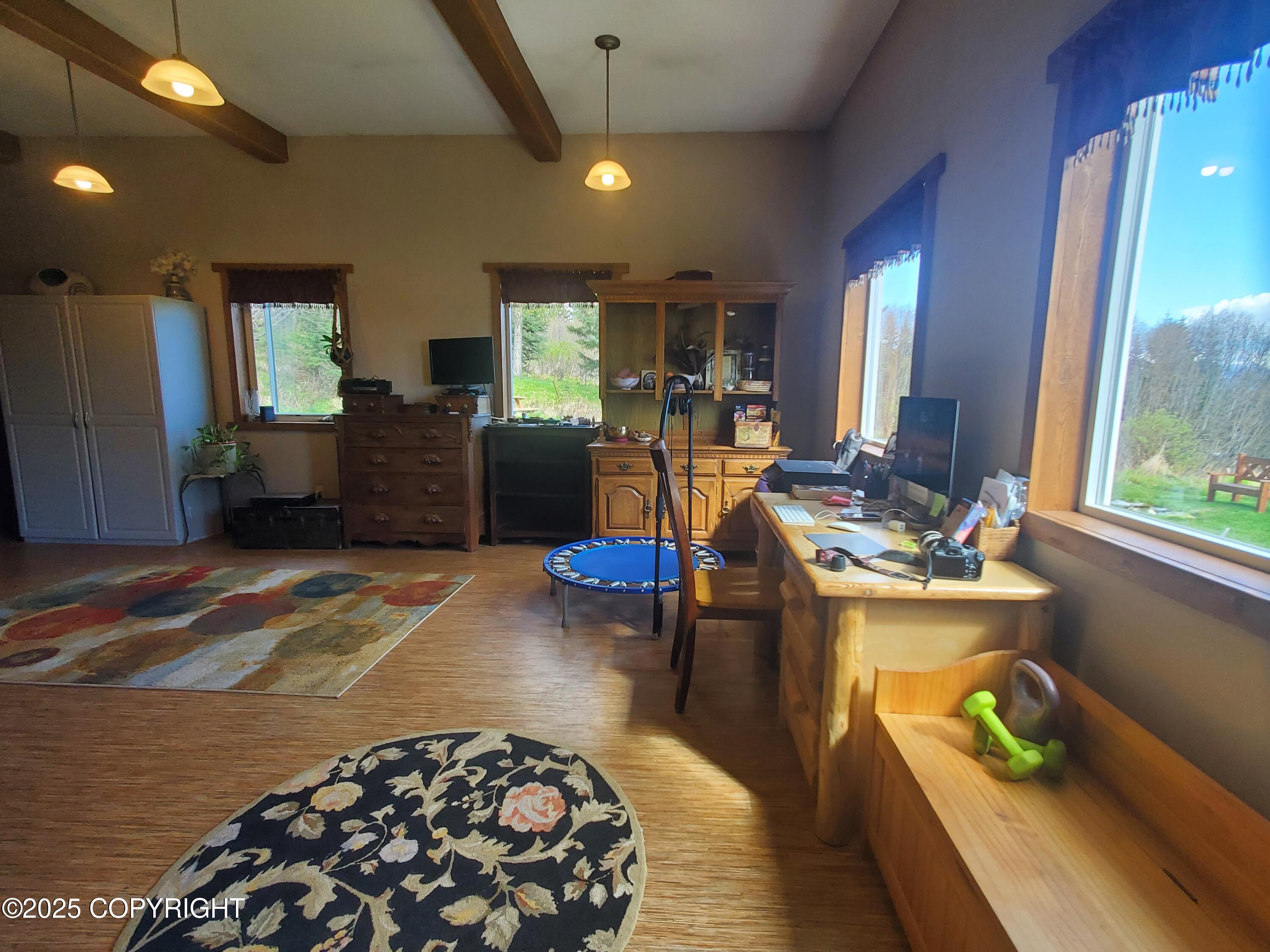4510 Thomas Court, Homer, Alaska image 29