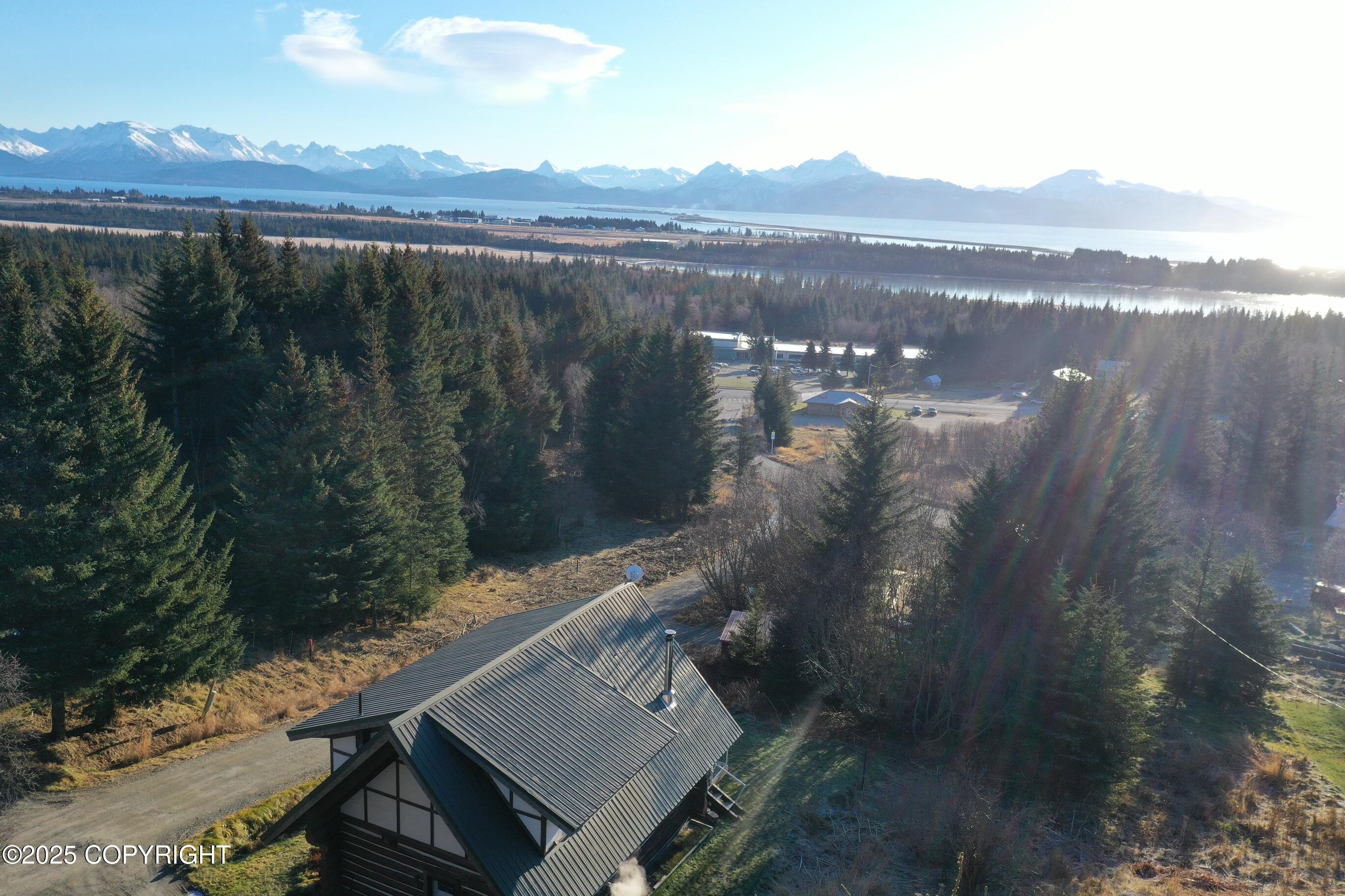 4510 Thomas Court, Homer, Alaska image 50
