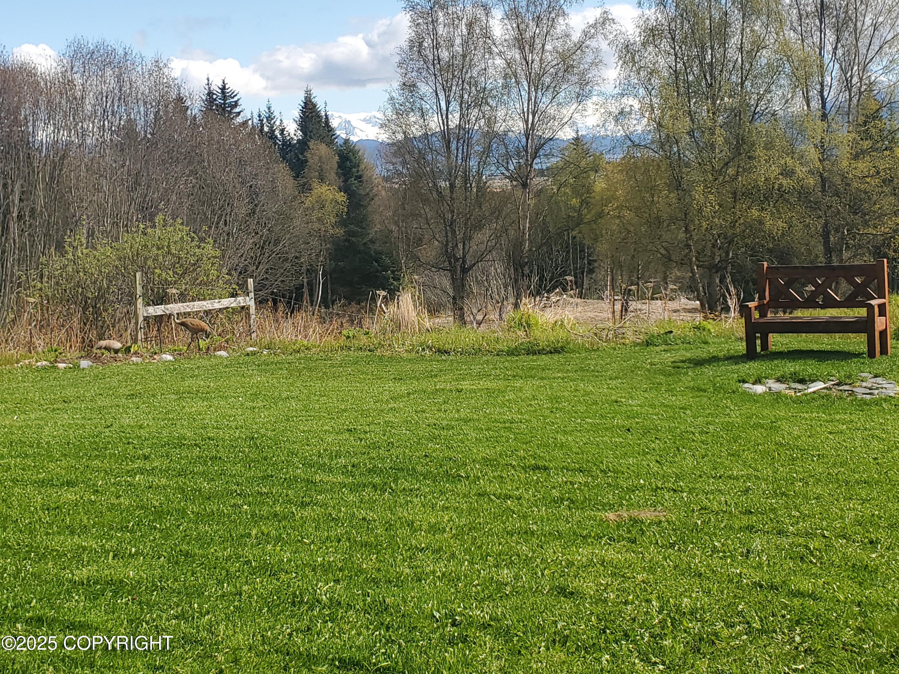 4510 Thomas Court, Homer, Alaska image 40