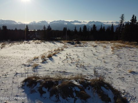 Photo of 32521 Linda Lane, Homer, AK 99603 (MLS # 26-3556)