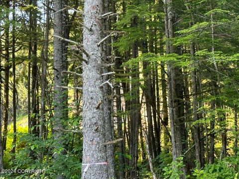 Photo of L16 & 17 Evergreen, Wrangell, AK 99929 (MLS # 24-9993) Photo of L16 & 17 Evergreen, Wrangell, AK 99929 (MLS # 24-9993)