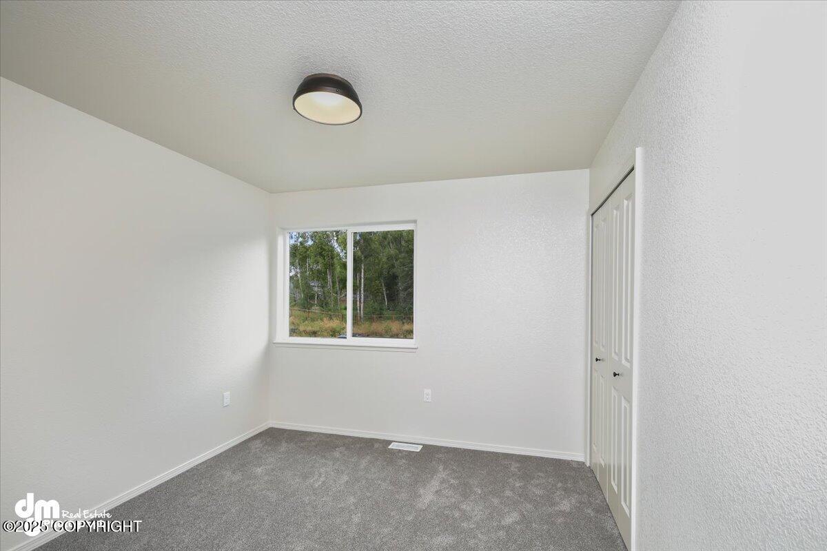 4197 E Alfreds Drive, Wasilla, Alaska image 37