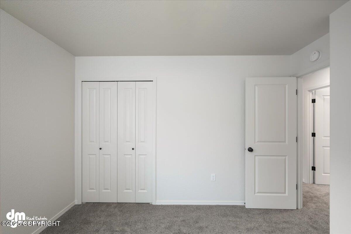 4197 E Alfreds Drive, Wasilla, Alaska image 38
