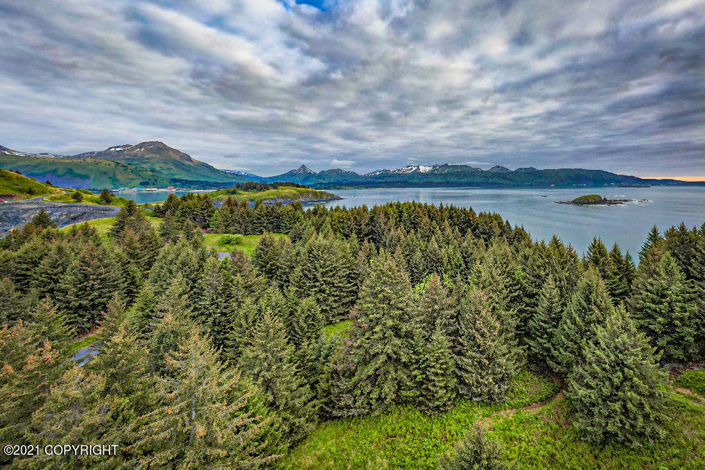 5979 Cliff Point Road, Kodiak, Alaska image 39