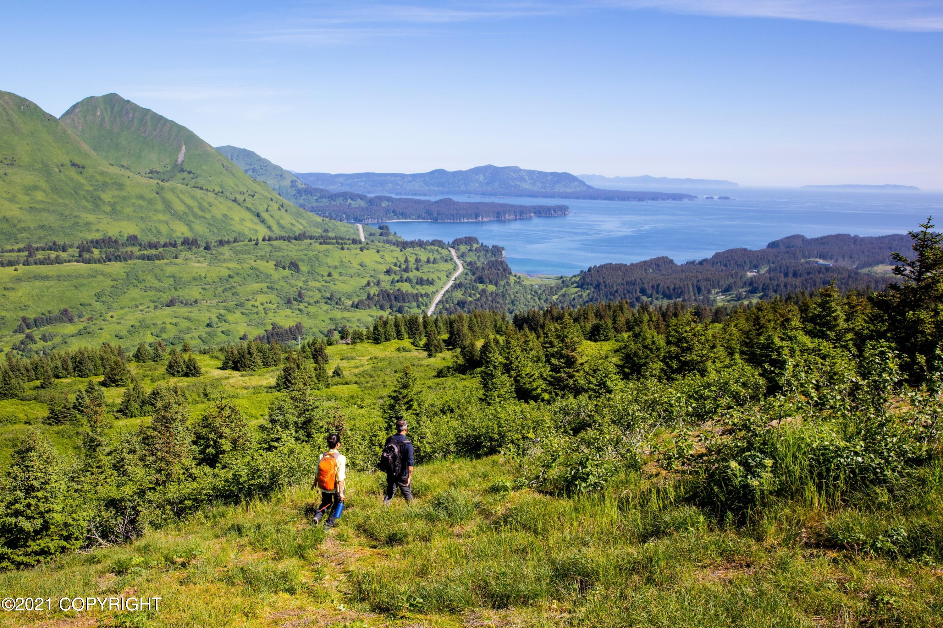 5979 Cliff Point Road, Kodiak, Alaska image 33