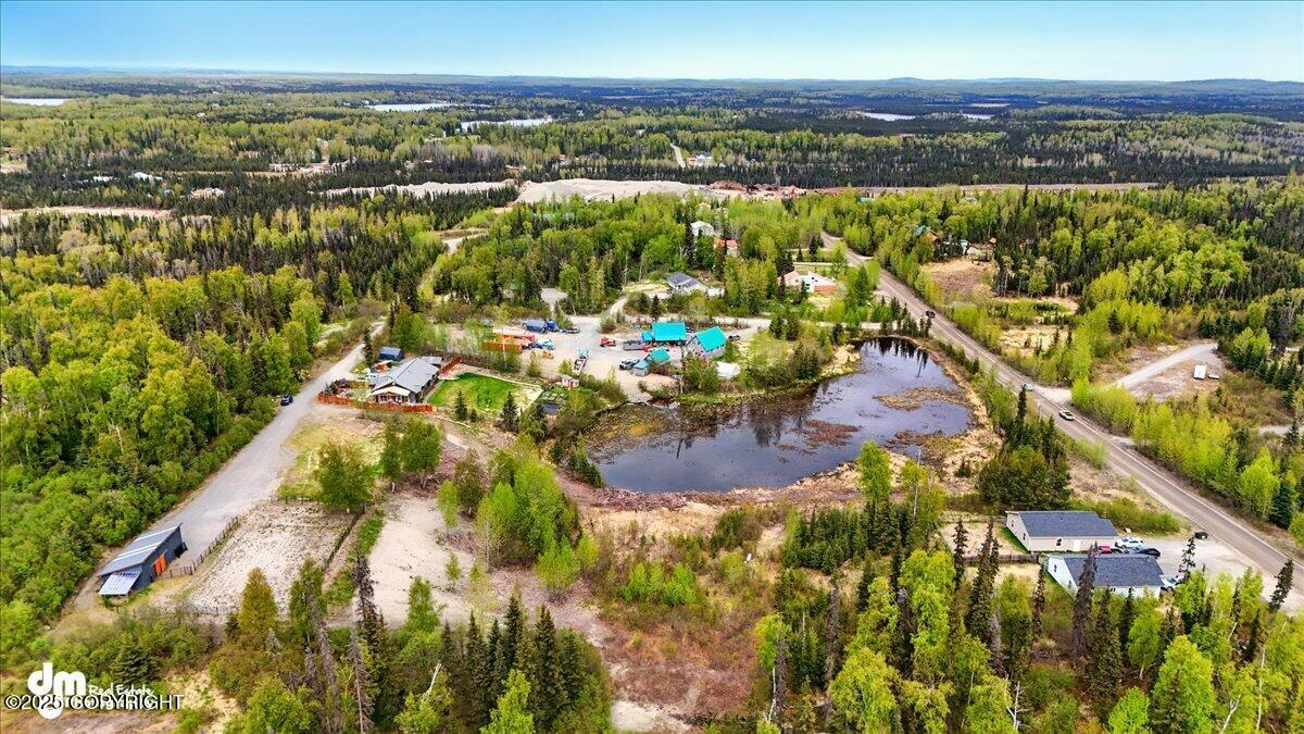36419 Pine Street, Soldotna, Alaska image 22