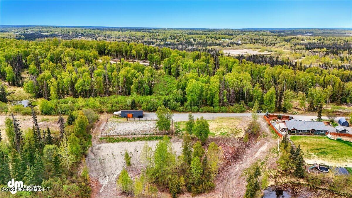 36419 Pine Street, Soldotna, Alaska image 21