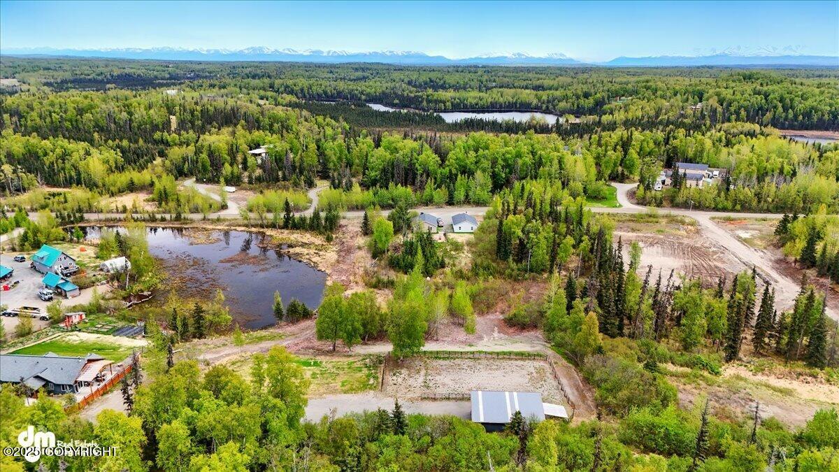 36419 Pine Street, Soldotna, Alaska image 20