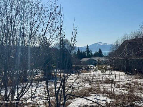 Vacant Land For Sale - 3884 Forest Glen Drive<br/> Homer, AK 99603