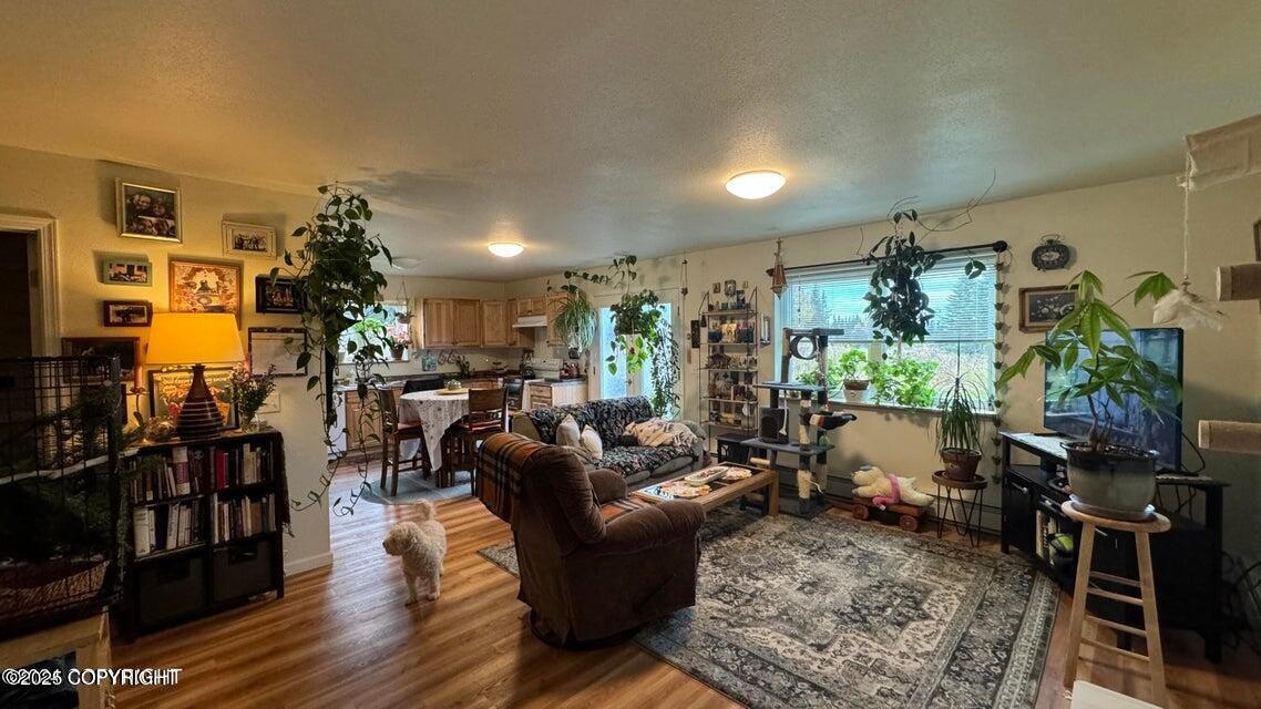17225 Kimeluk Street, Ninilchik, Alaska image 3