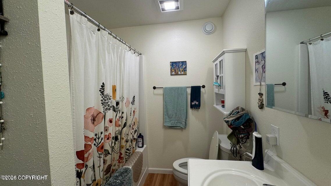 17225 Kimeluk Street, Ninilchik, Alaska image 12