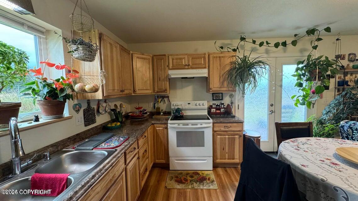 17225 Kimeluk Street, Ninilchik, Alaska image 4