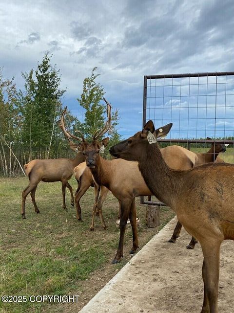 1403 Alaska Highway Delta Junction AK 99737