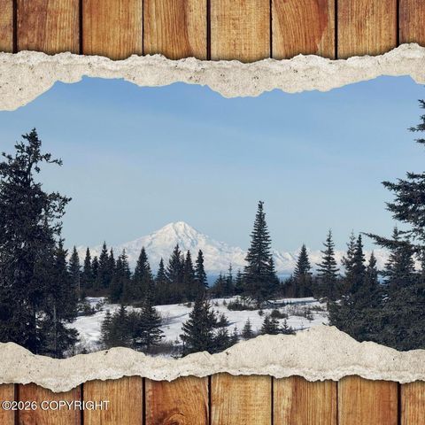 Vacant Land For Sale - 53777 Towe Avenue<br/> Ninilchik, AK 99639