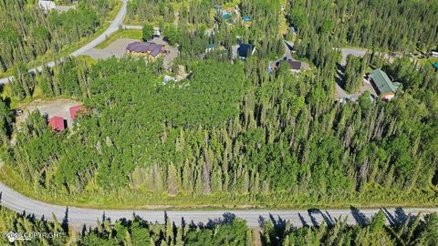 Vacant Land For Sale - 52695 Thalia Lane<br/> Kasilof, AK 99610