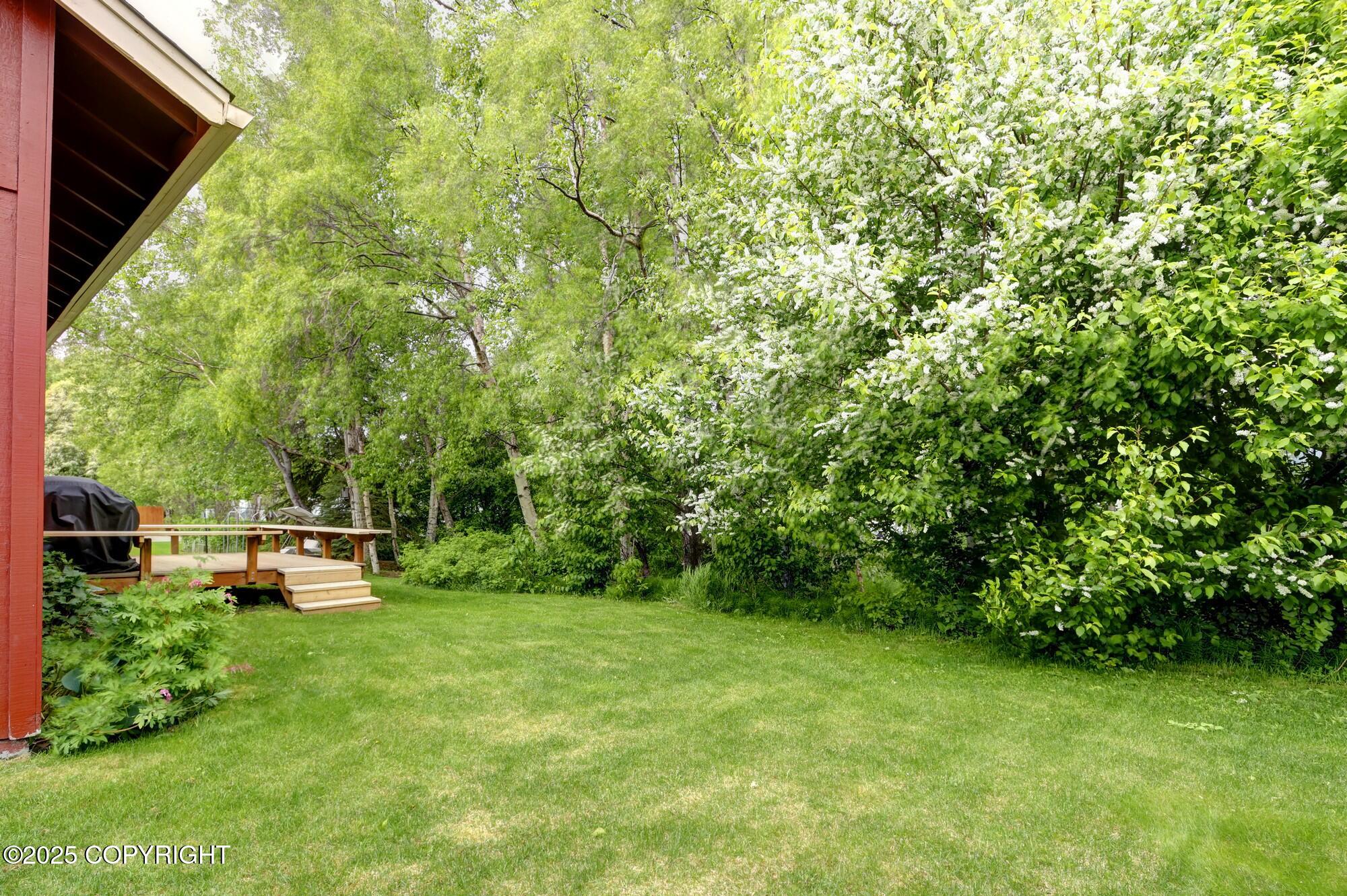 3211 Rosalind Loop, Anchorage, Alaska image 5