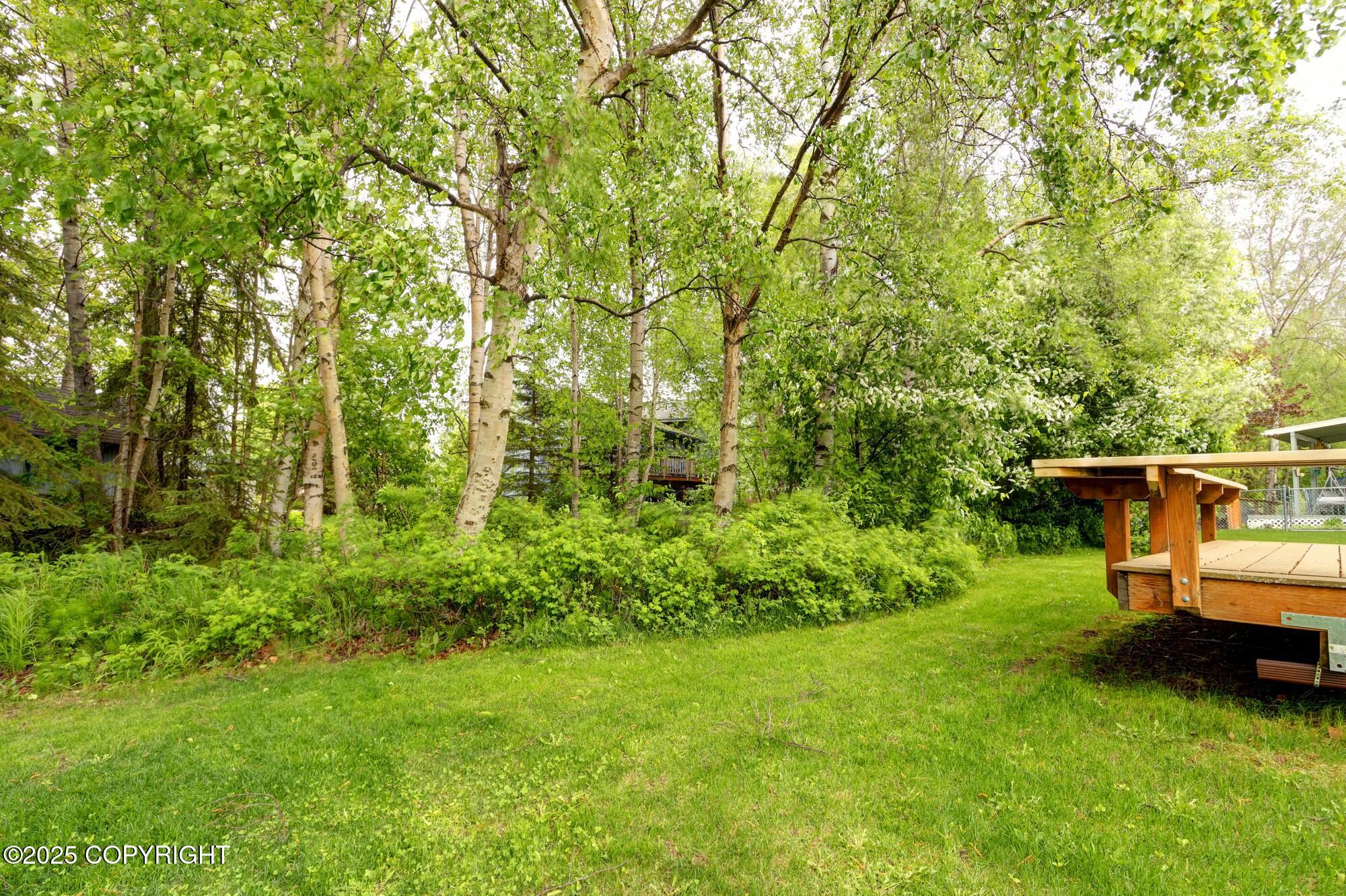 3211 Rosalind Loop, Anchorage, Alaska image 8