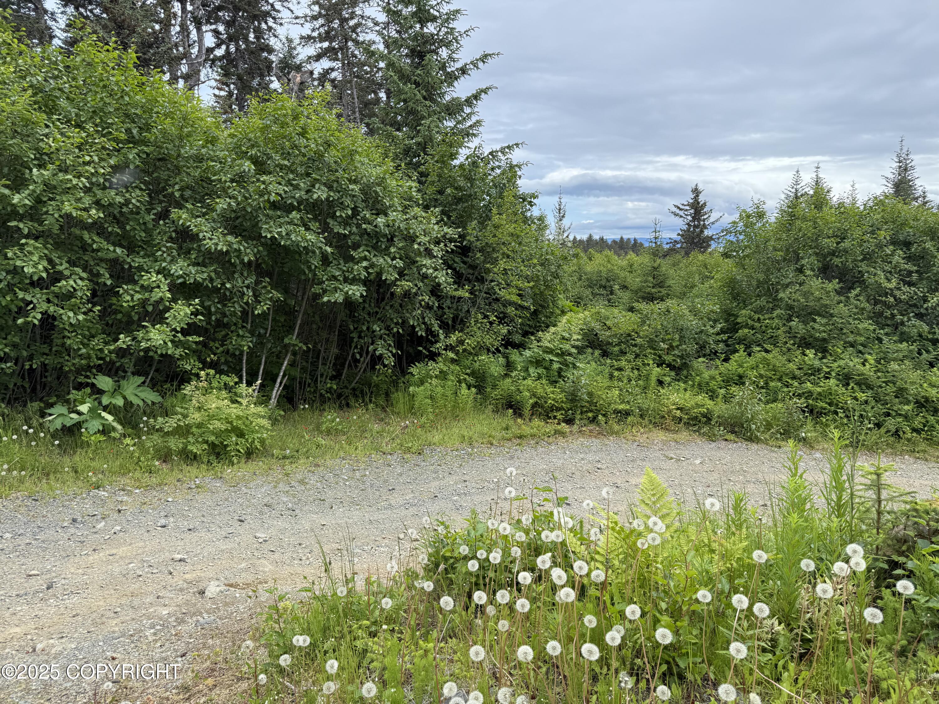 Seldovia, Alaska 99663, United States, 2 Bedrooms Bedrooms, ,2 BathroomsBathrooms,Residential,Active,161631