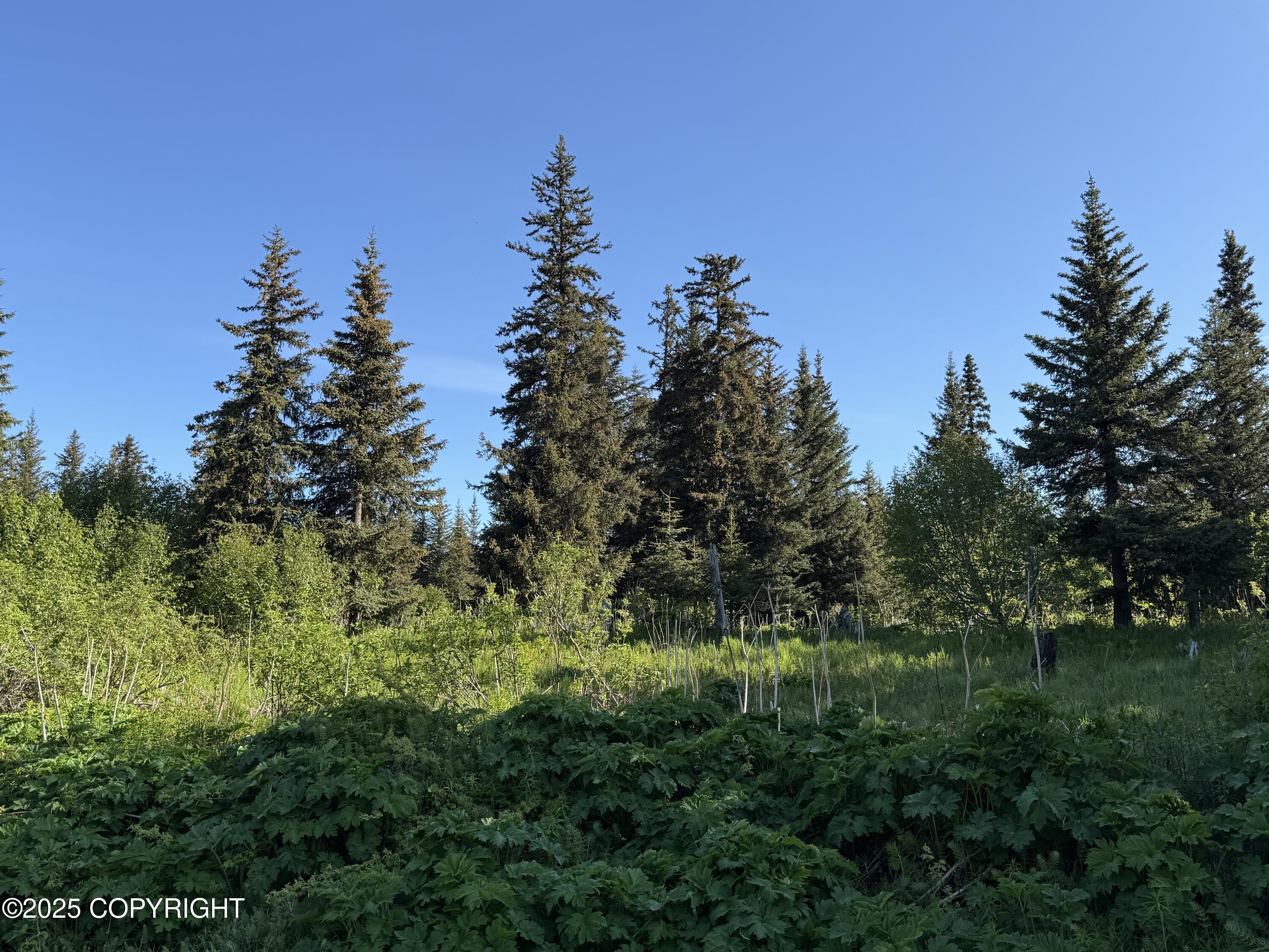 200 Skyline Drive, Homer, Alaska image 6