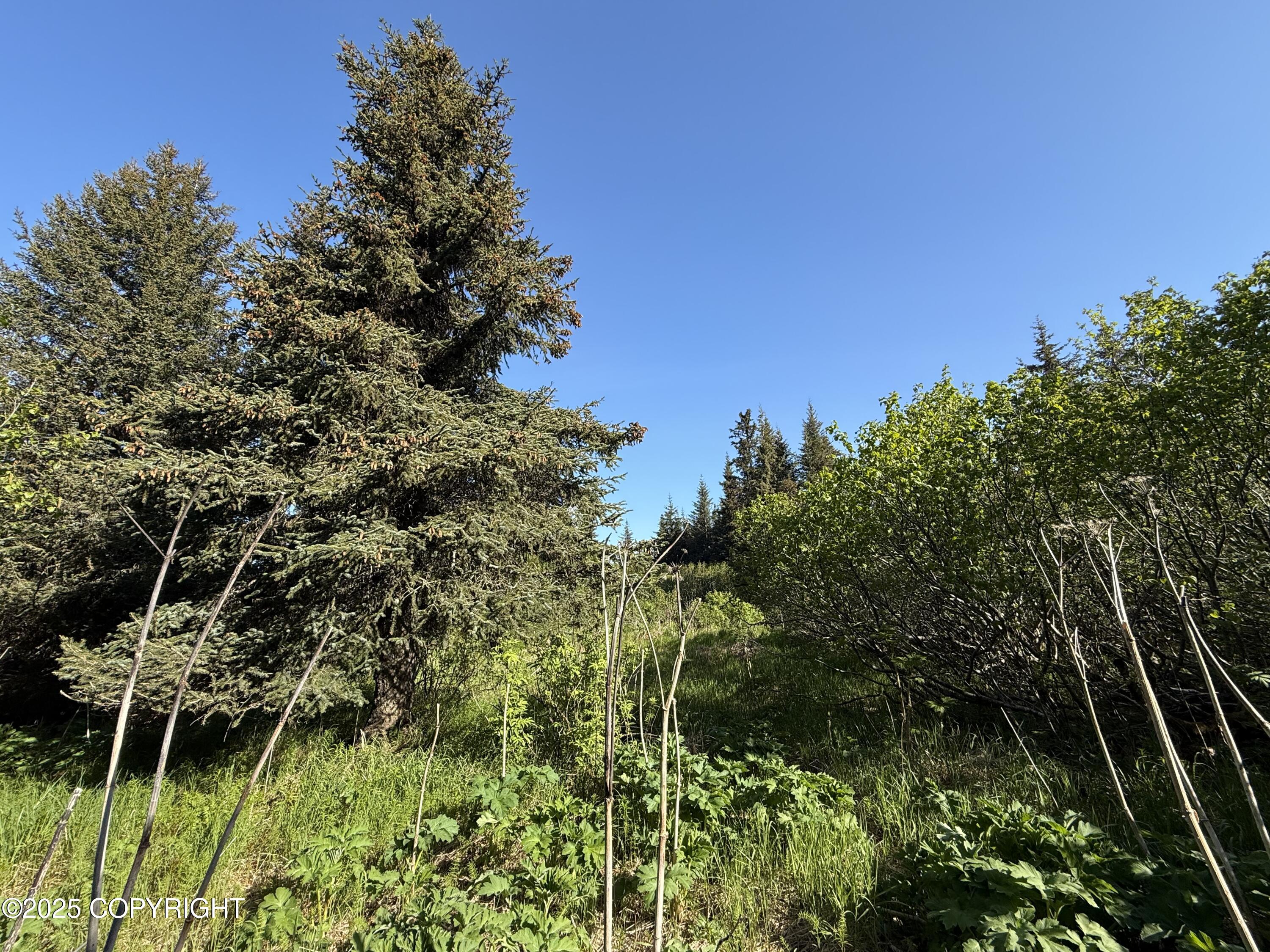 200 Skyline Drive, Homer, Alaska image 12
