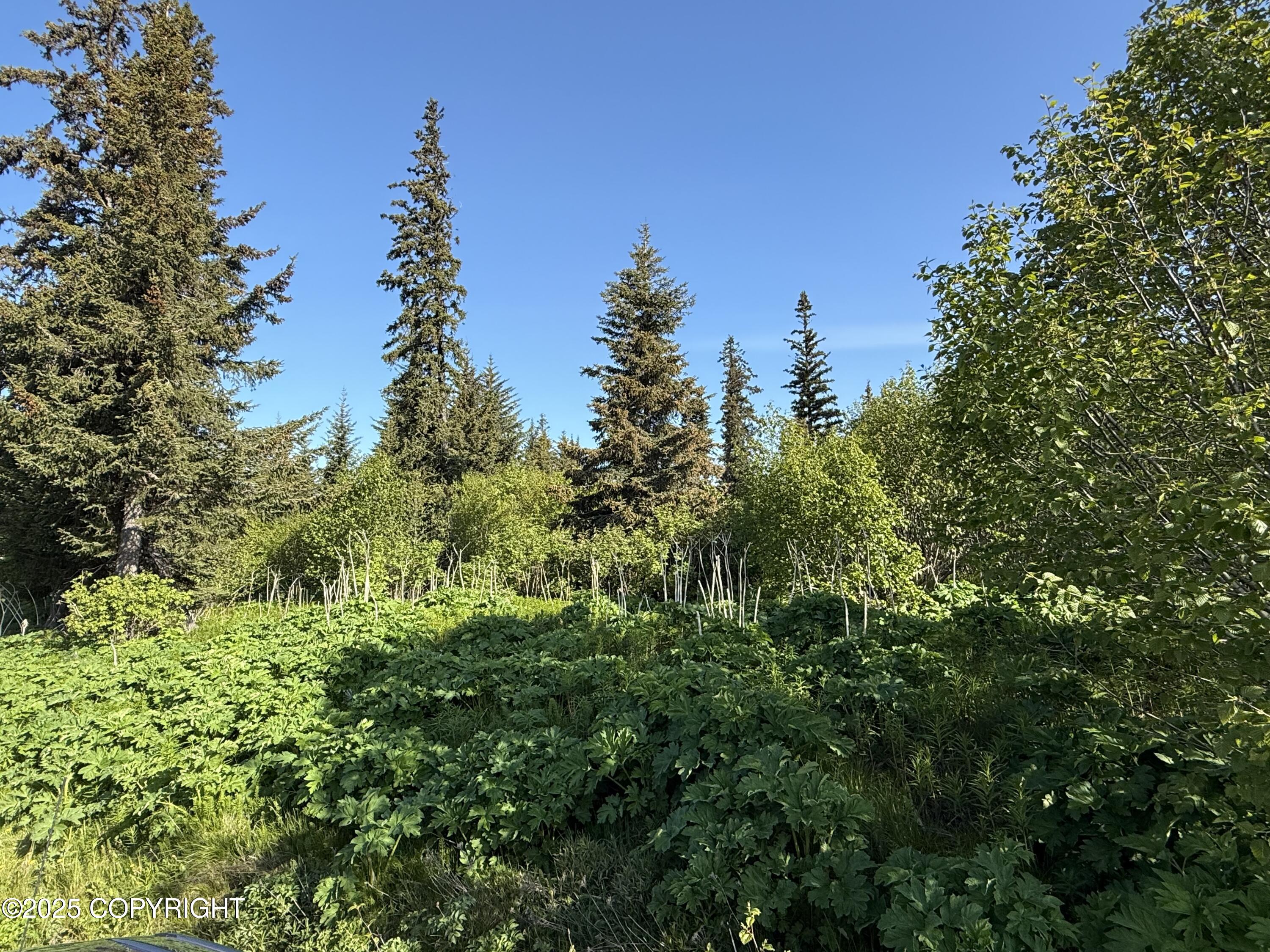 200 Skyline Drive, Homer, Alaska image 4
