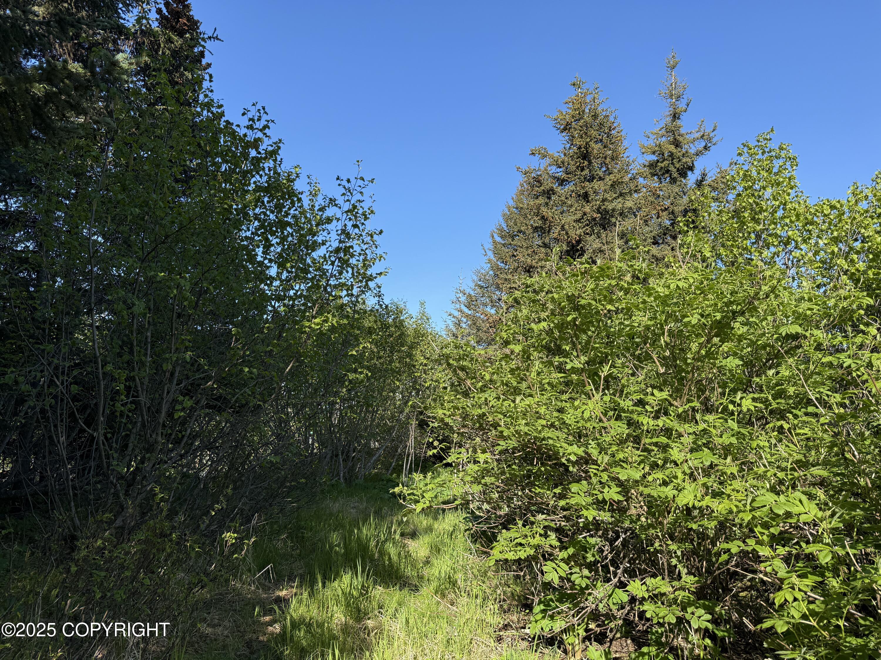 200 Skyline Drive, Homer, Alaska image 10