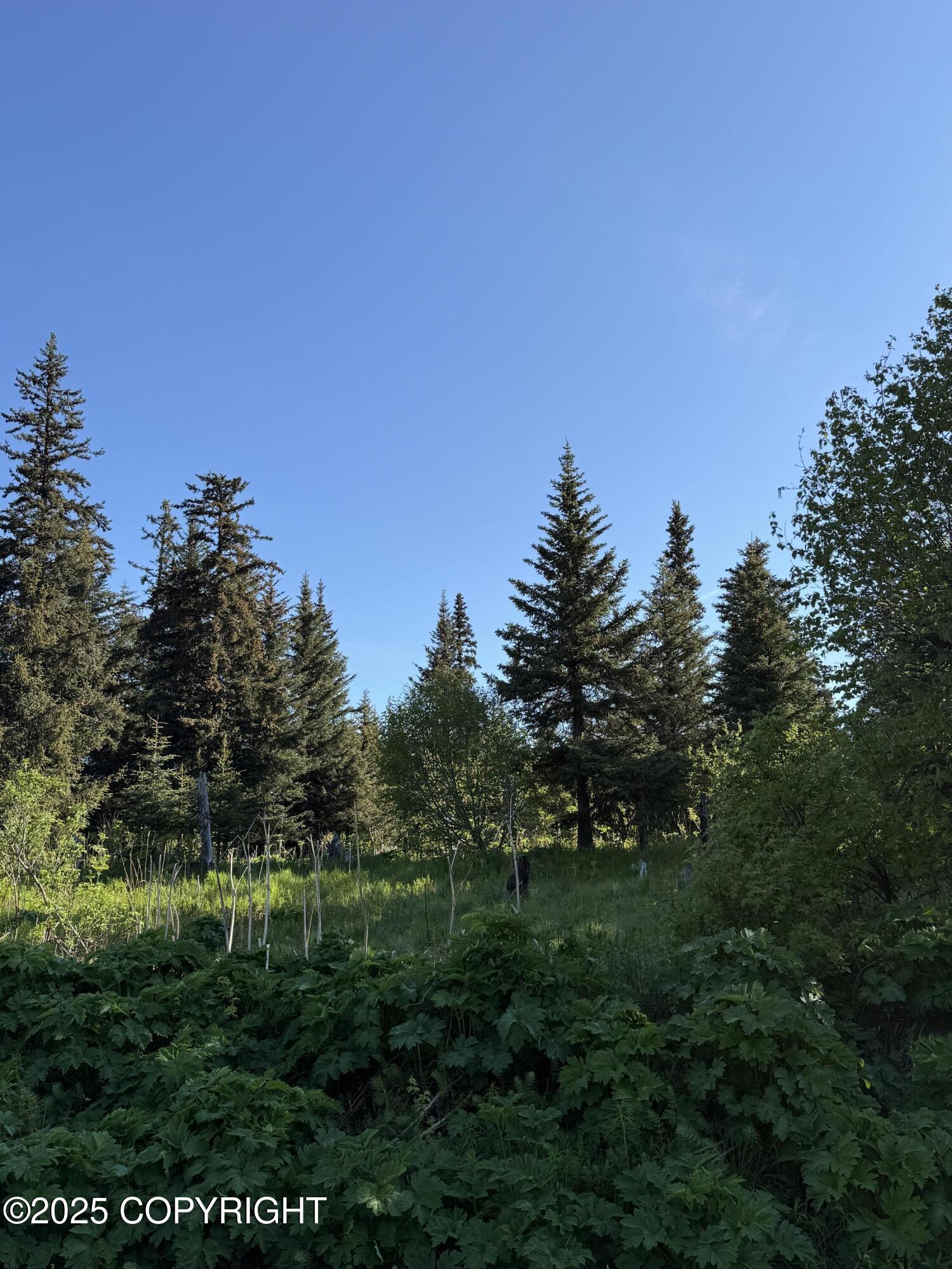 200 Skyline Drive, Homer, Alaska image 8
