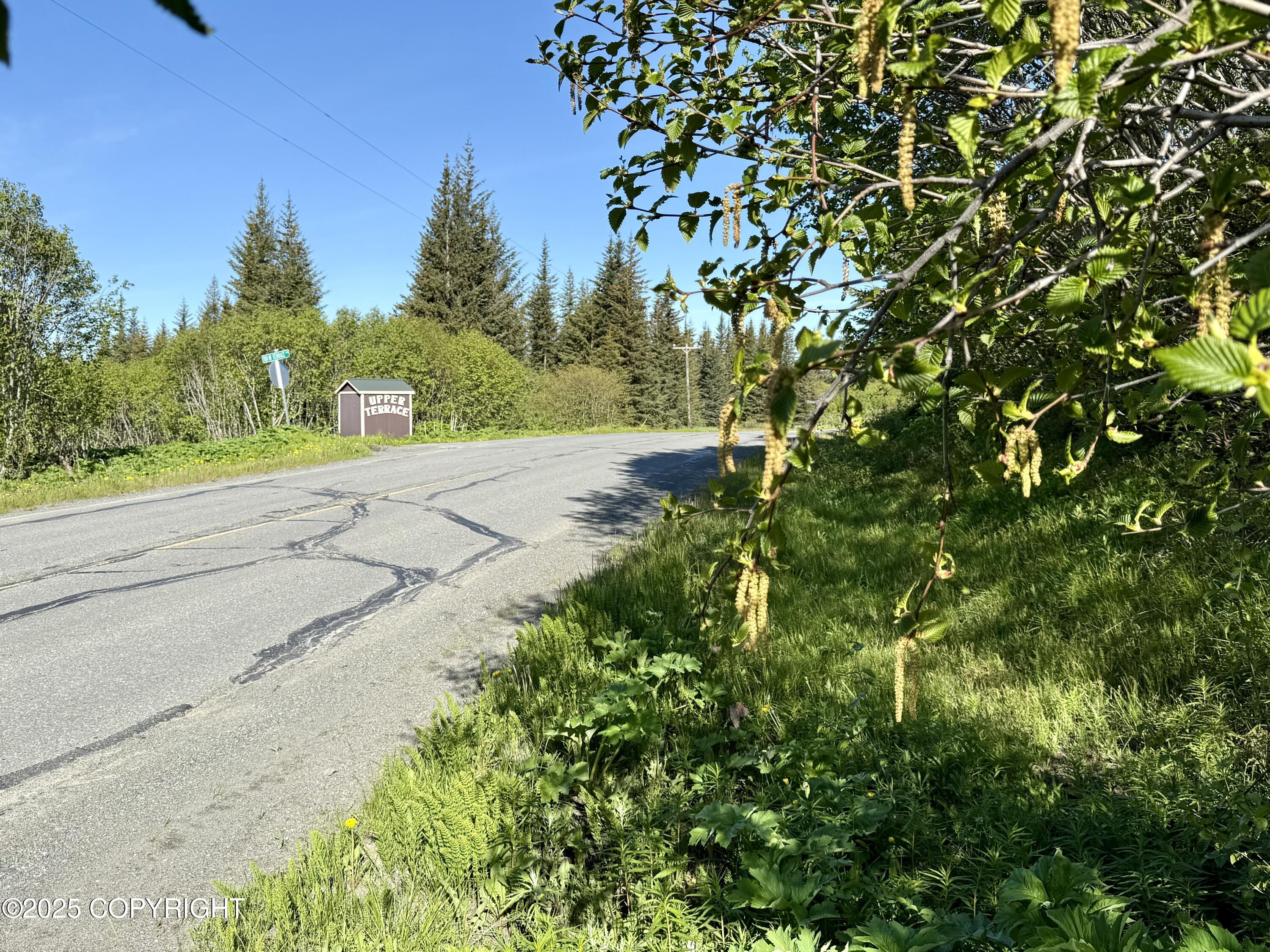 200 Skyline Drive, Homer, Alaska image 16