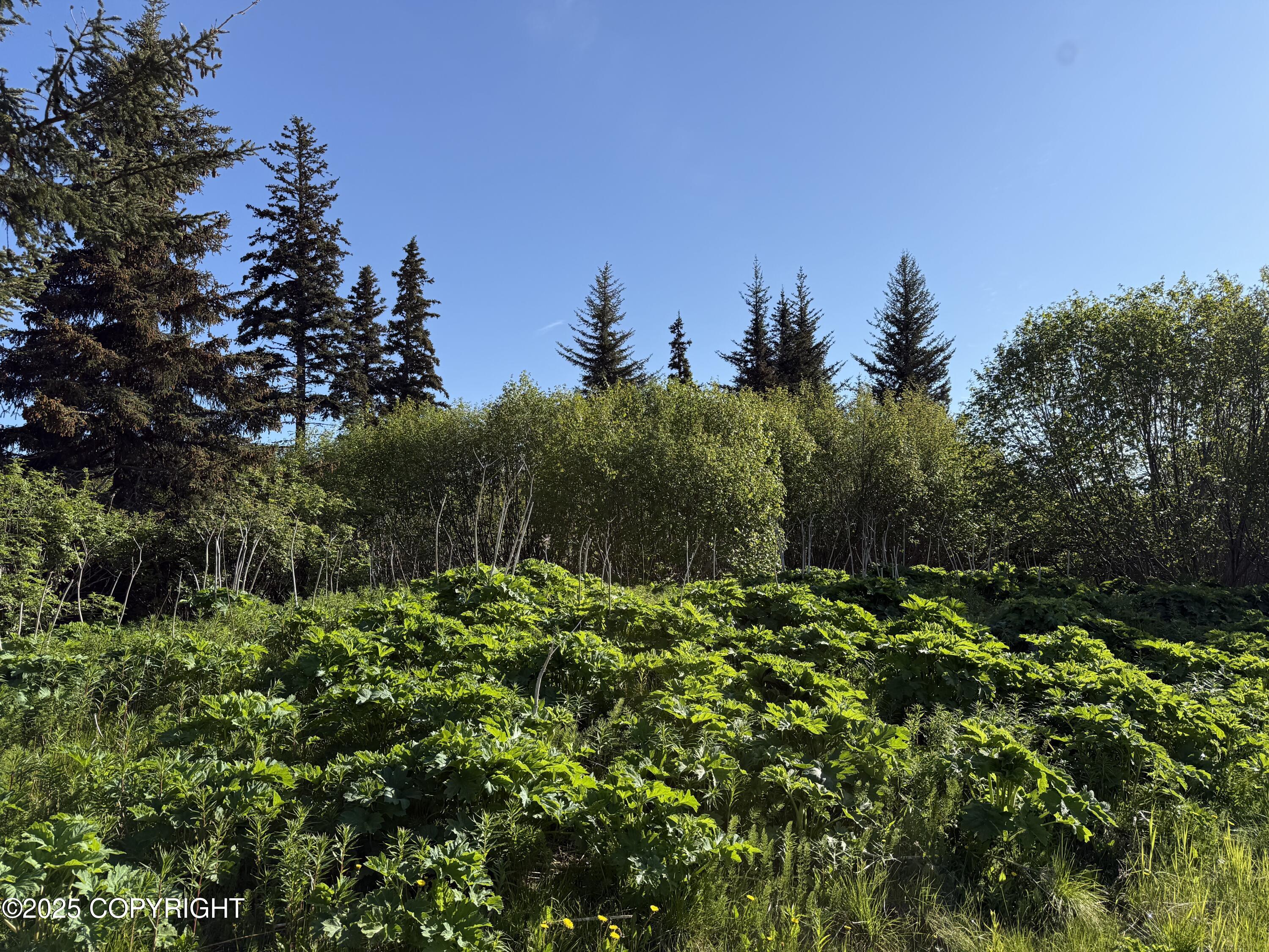 200 Skyline Drive, Homer, Alaska image 5