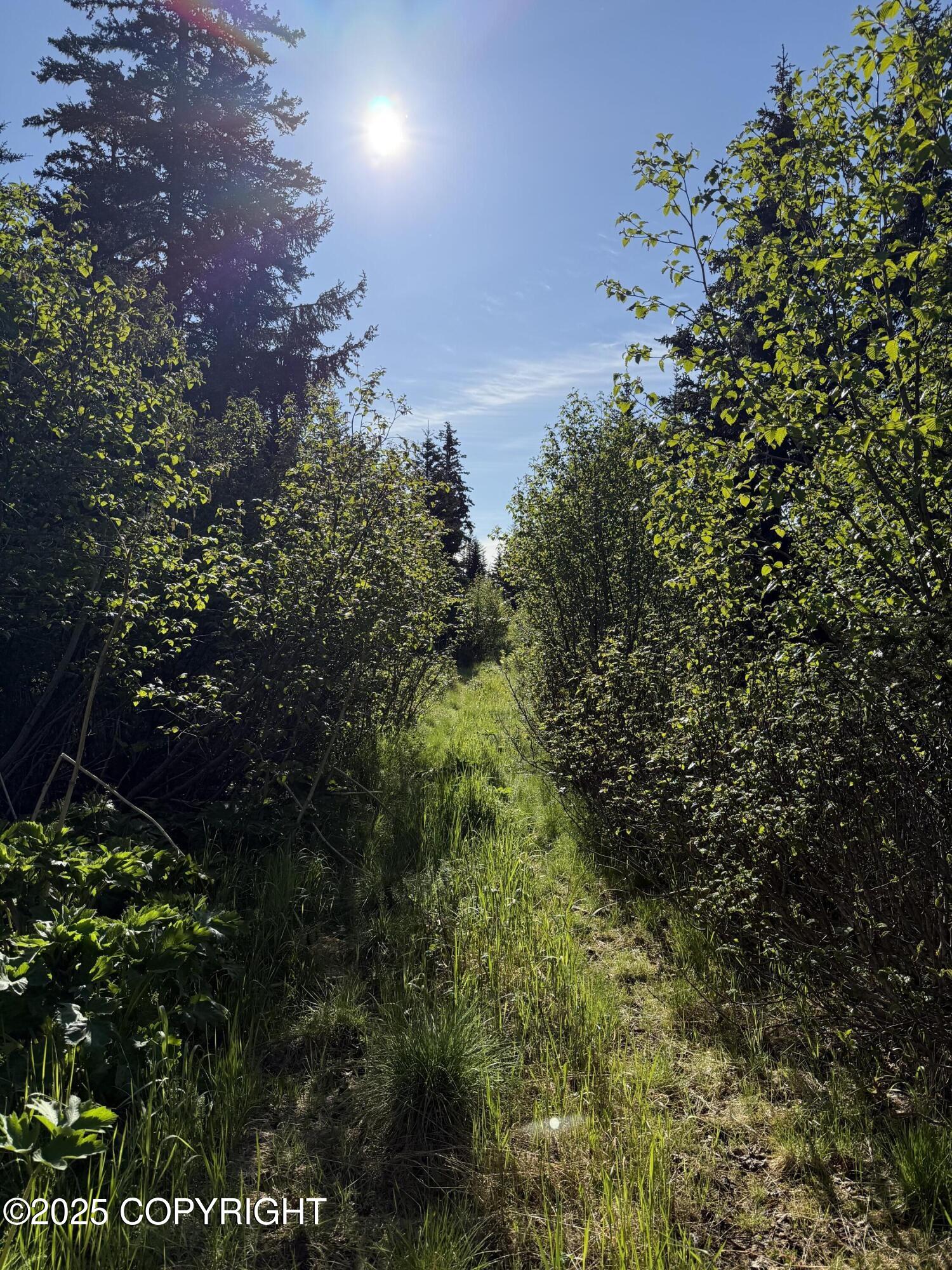 200 Skyline Drive, Homer, Alaska image 7