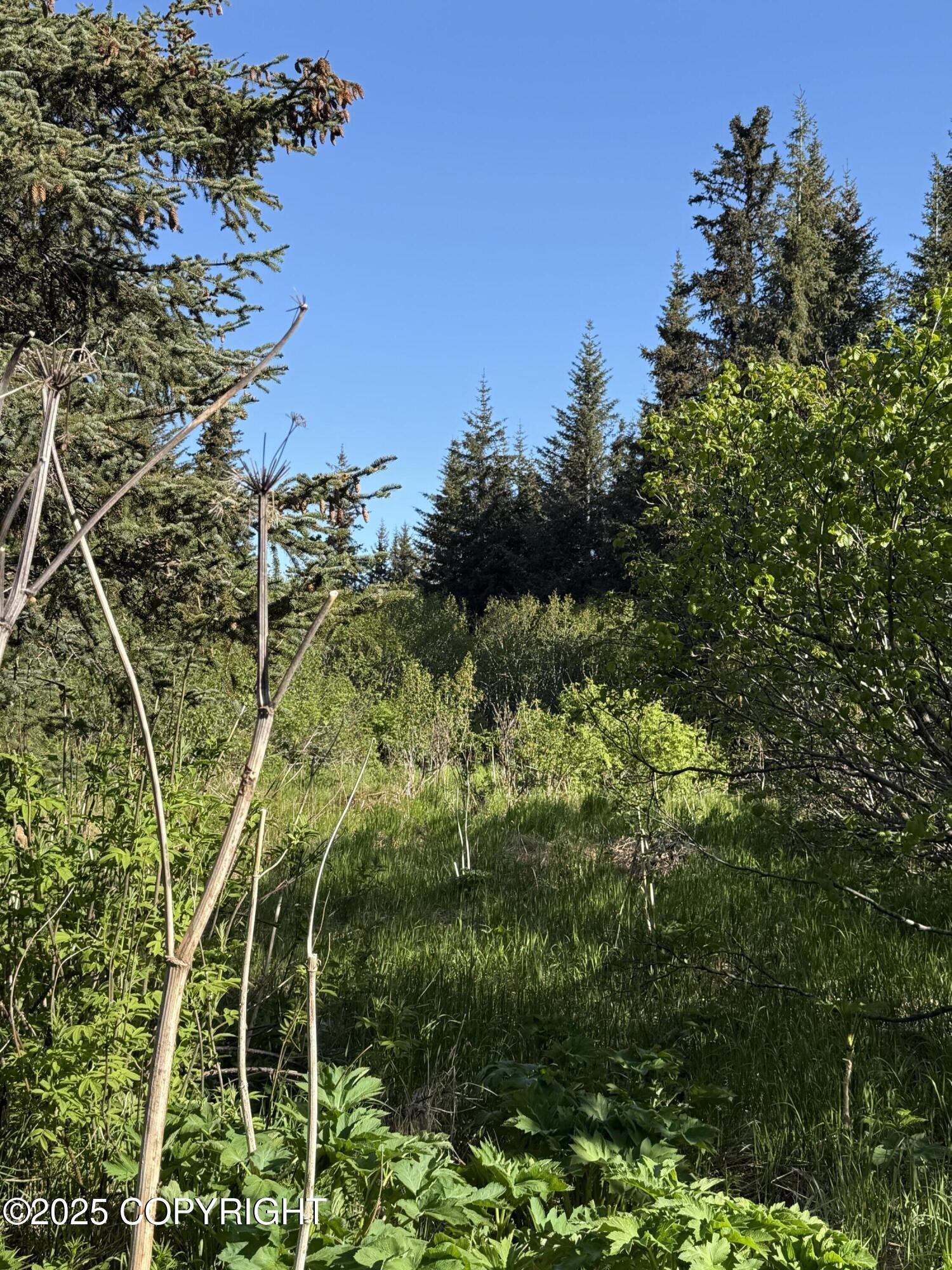 200 Skyline Drive, Homer, Alaska image 9