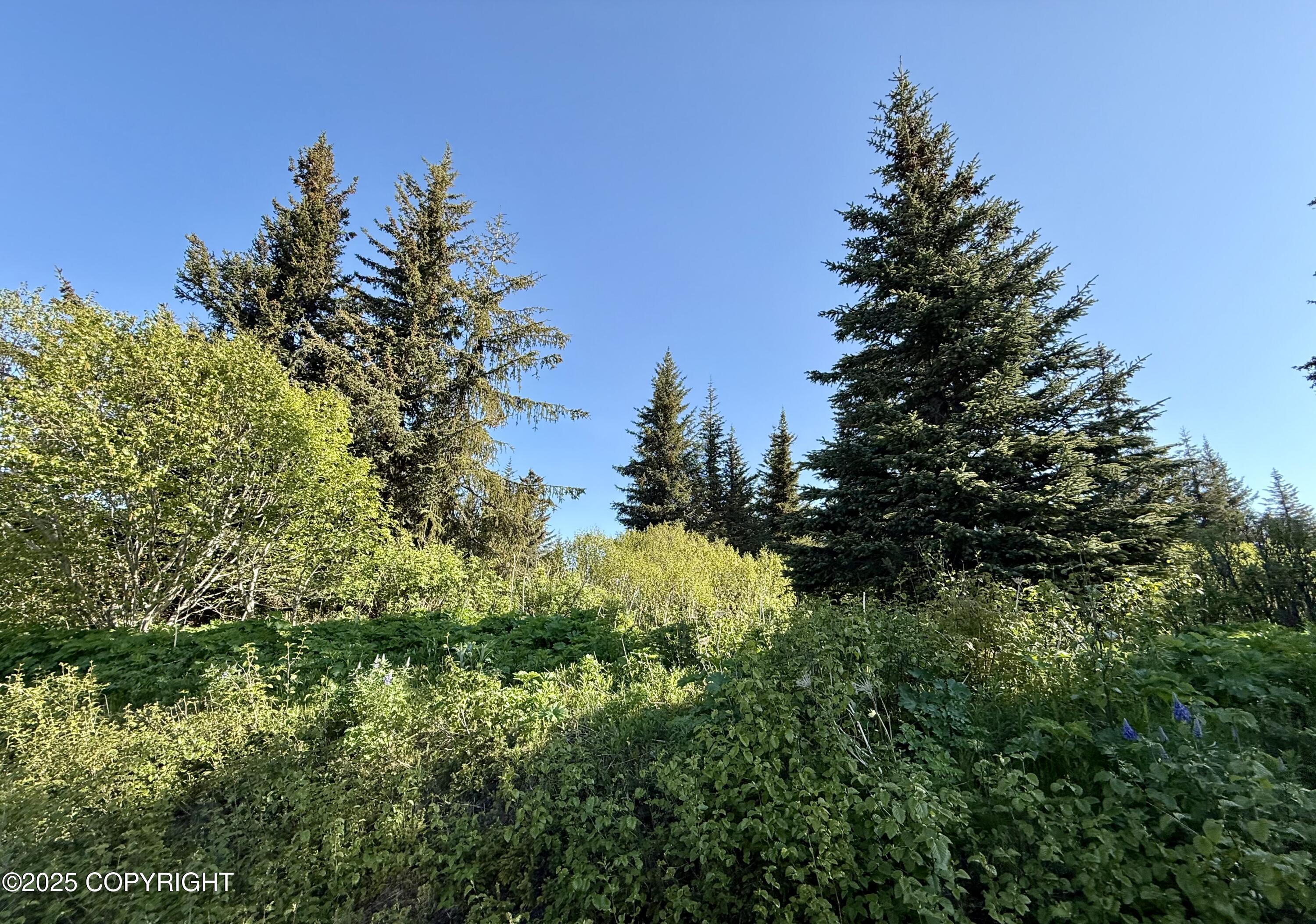 200 Skyline Drive, Homer, Alaska image 14