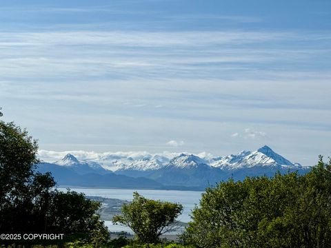 Homes For Sale - 200 Skyline Drive<br/> Homer, AK 99603