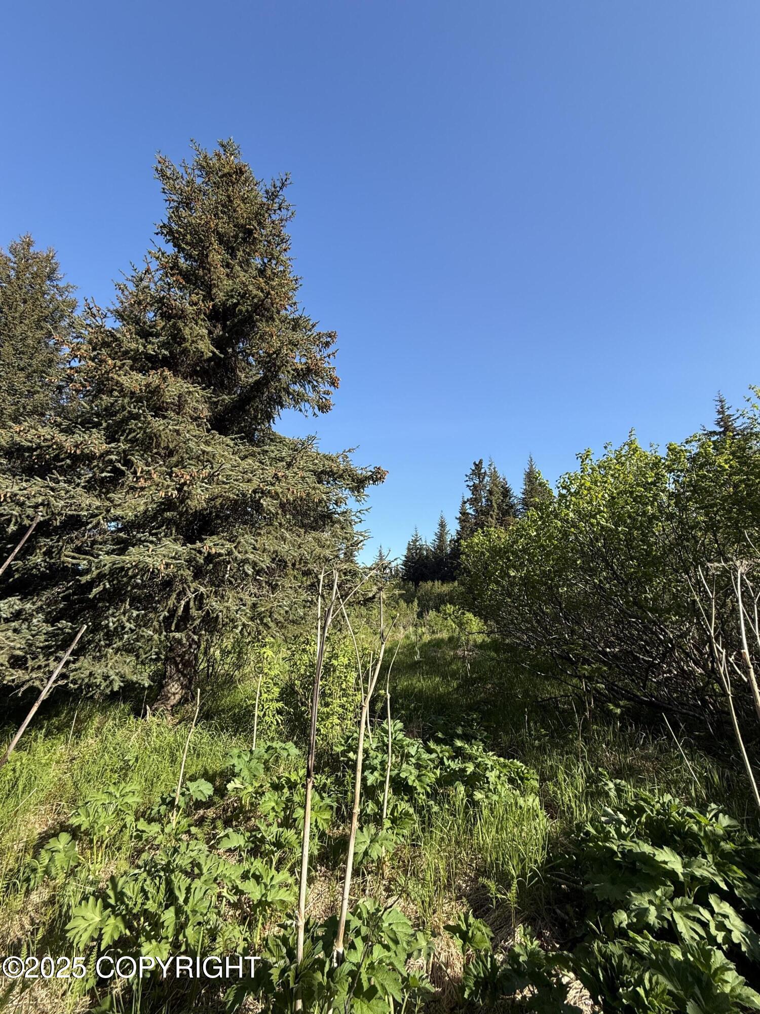 200 Skyline Drive, Homer, Alaska image 11