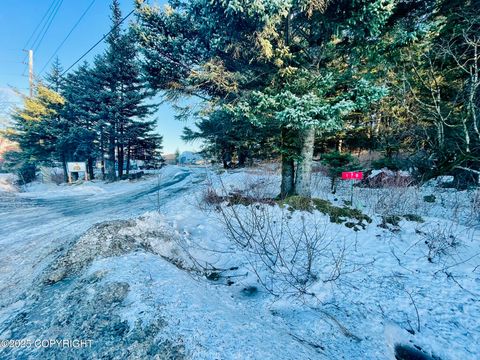 Vacant Land For Sale - 170 Island Lake Road<br/> Kodiak, AK 99615