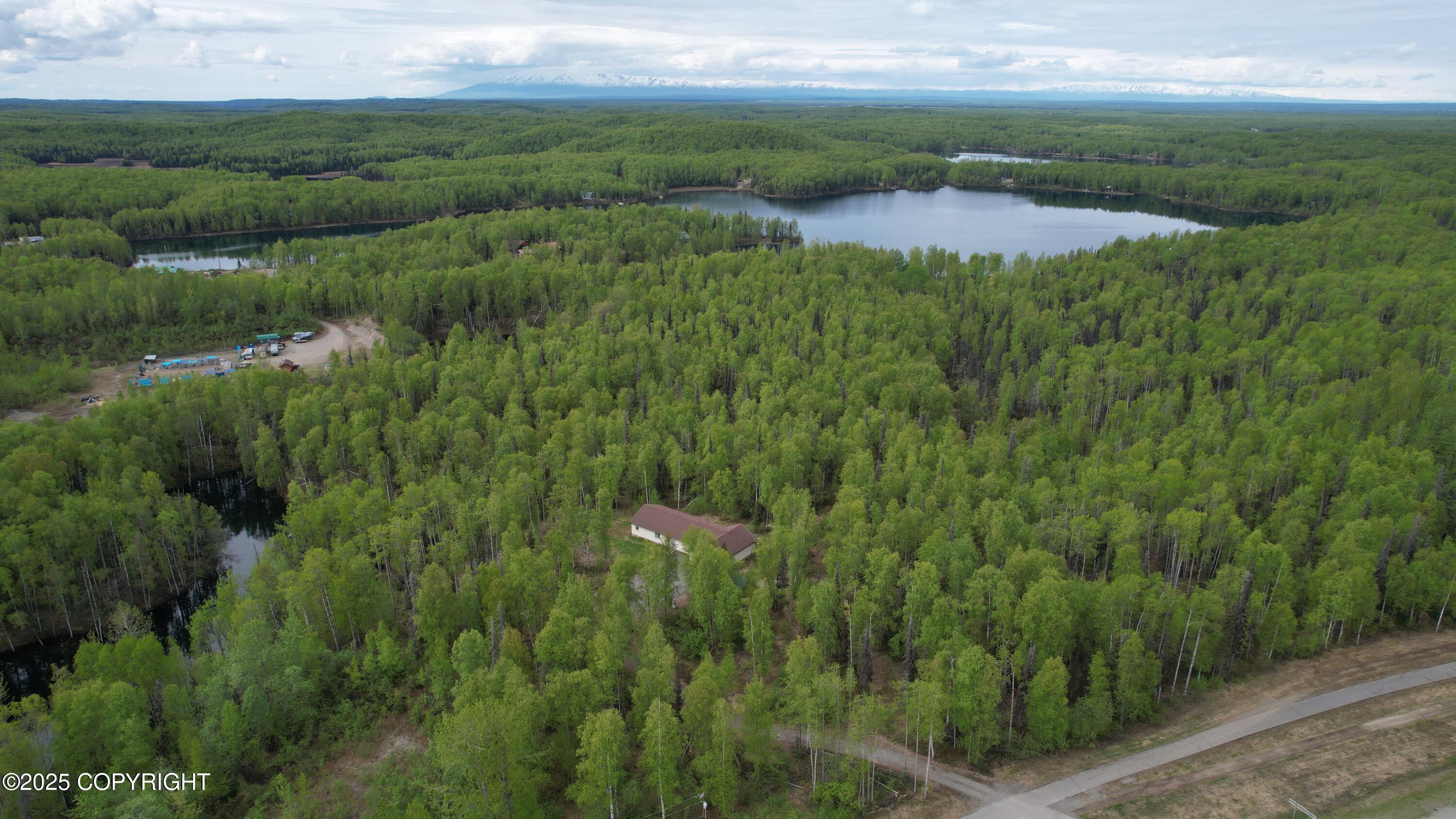 29022 W Parks Highway, Willow, Alaska image 3