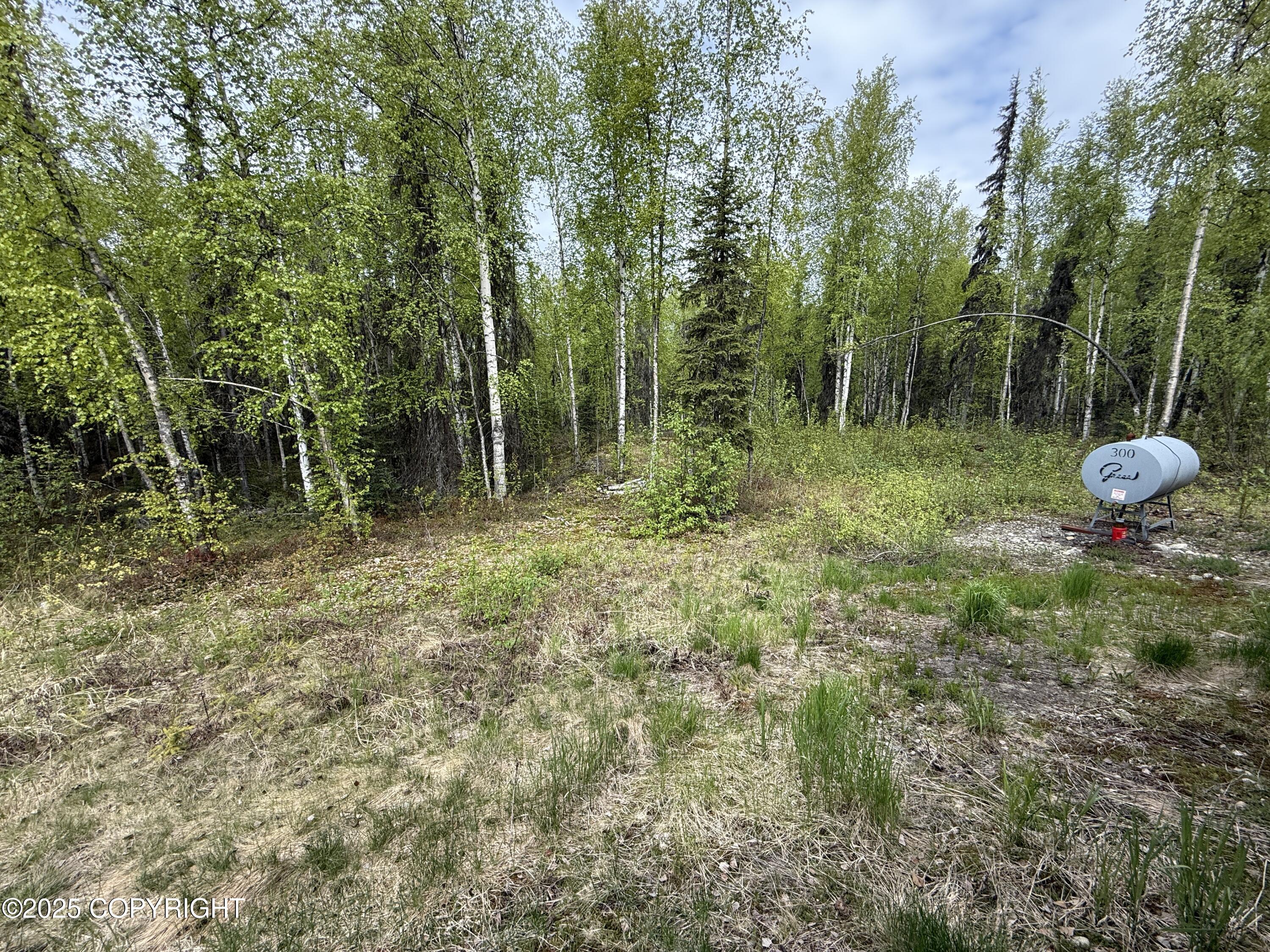29022 W Parks Highway, Willow, Alaska image 49